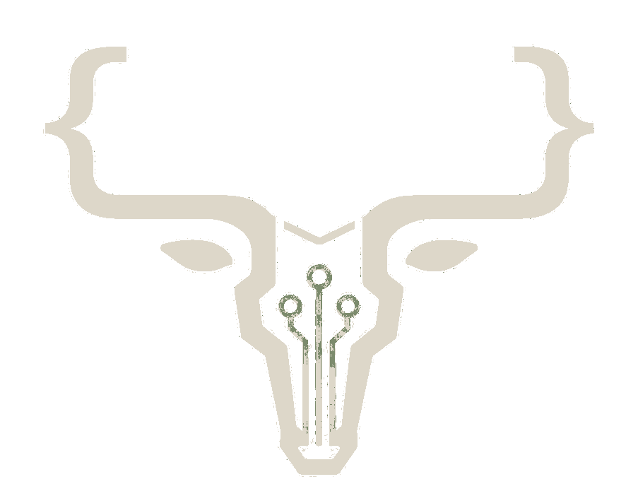CodeDrovers longhorn